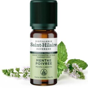 Huile essentielle bio menthe poivrée  flacon 10 ml