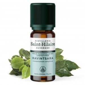 Huile essentielle bio ravintsara flacon 10 ml