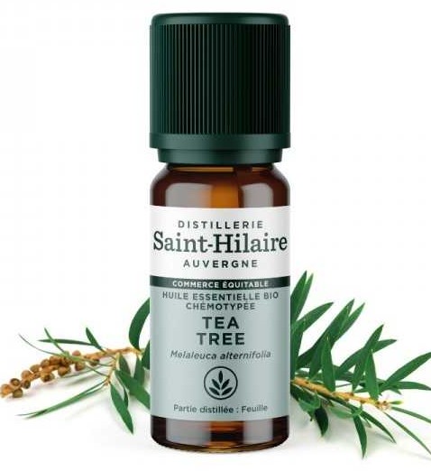 Huile essentielle bio Arbre à Thé (tea tree) flacon 10 ml